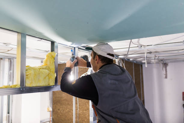 Best Insulation Contractor Near Me  in Clifton, IL