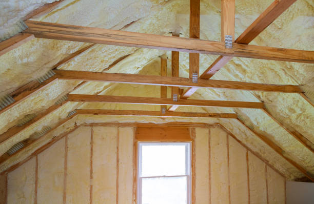 Professional Insulation Contractor in Clifton, IL
