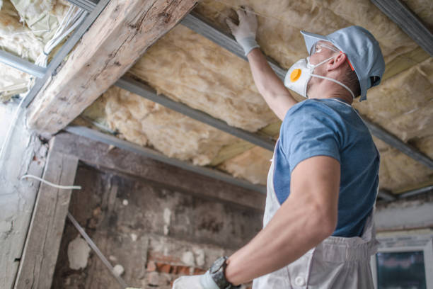 Best Affordable Insulation Services  in Clifton, IL