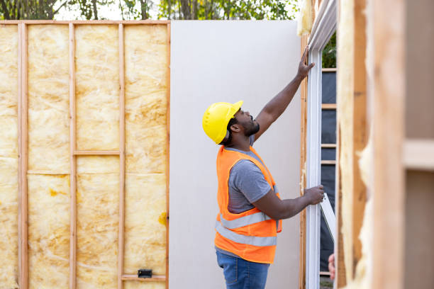 Best Insulation Removal  in Clifton, IL